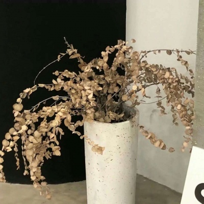 Furry绘画避坑指南Furry群